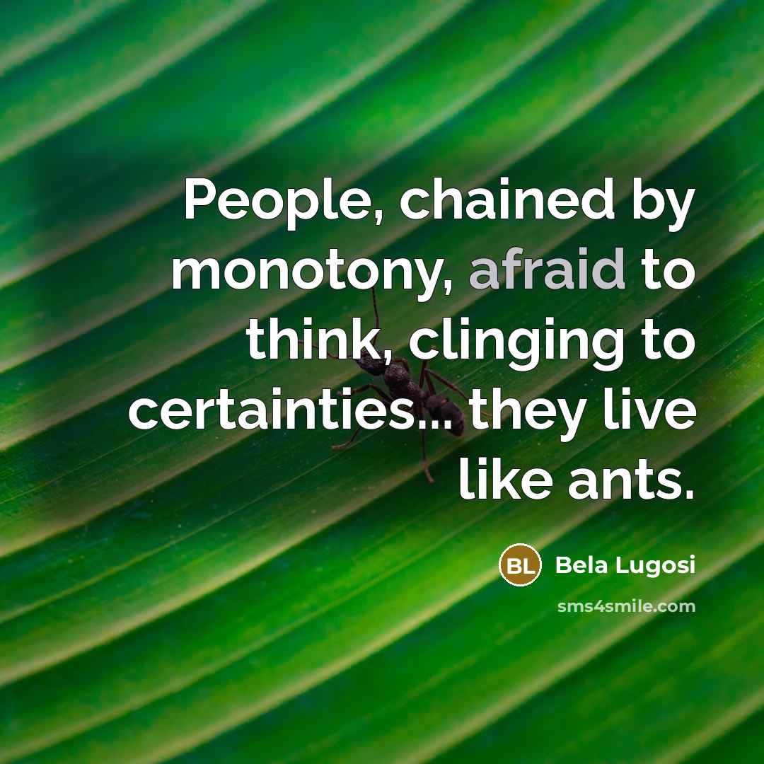 “People, chained by monotony, afraid to think, clinging to certainties... they live like ants.” quote by Bela Lugosi