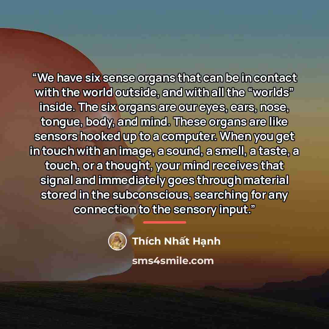 “We have six sense organs that can be in contact with the world outside, and with all the “worlds” inside. The six organs are our eyes, ears, nose, tongue, body, and mind. These organs are like sensors hooked up to a computer. When you get in touch with an image, a sound, a smell, a taste, a touch…” quote by Thich Nhat Hanh