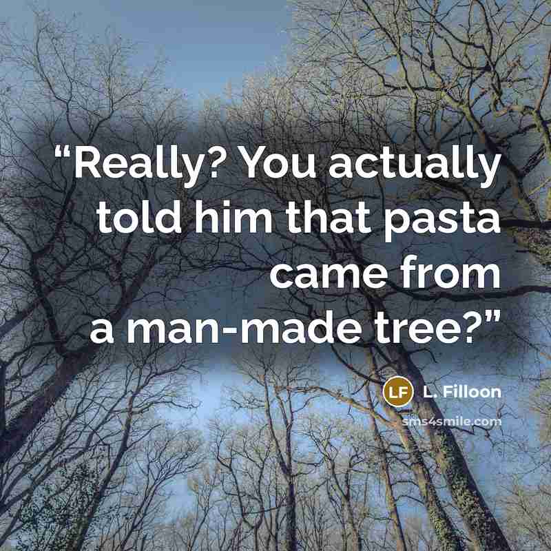 “Really? You actually told him that pasta came from a man-made tree?” quote by L. Filloon