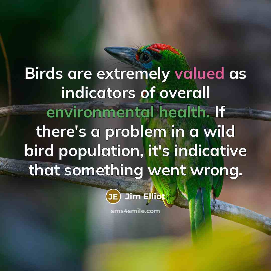 “Birds are extremely valued as indicators of overall environmental health. If there's a problem in a wild bird population, it's indicative that something went wrong.” quote by Jim Elliot