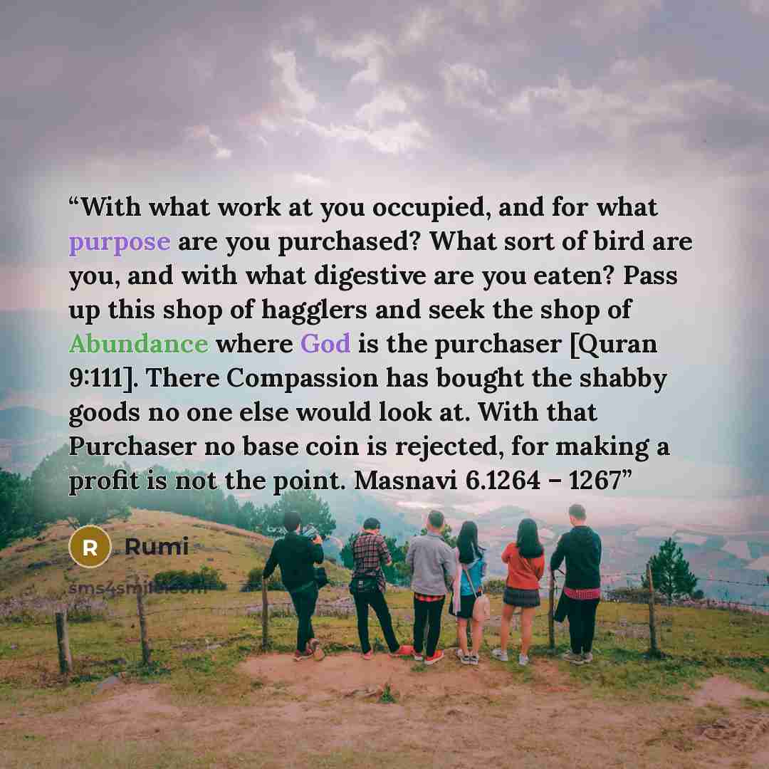 “With what work at you occupied, and for what purpose are you purchased? What sort of bird are you, and with what digestive are you eaten? Pass up this shop of hagglers and seek the shop of Abundance where God is the purchaser [Quran 9:111]. There Compassion has bought the shabby goods no one else…” quote by Rumi