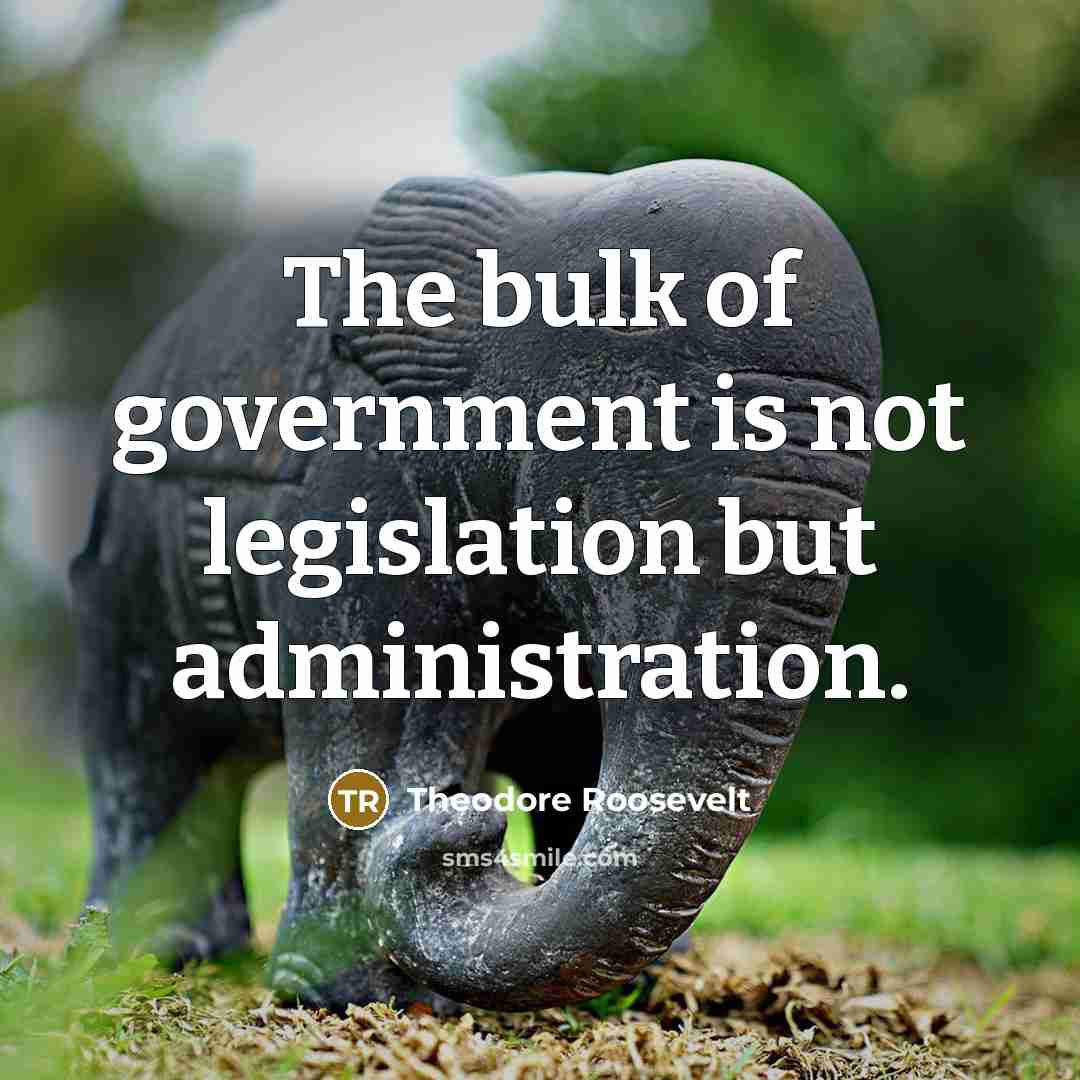 “The bulk of government is not legislation but administration.” quote by Theodore Roosevelt