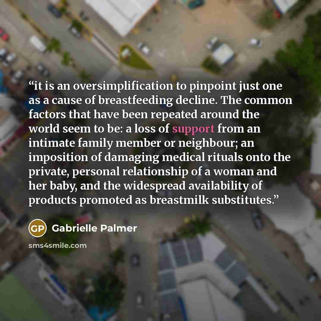 “it is an oversimplification to pinpoint just one as a cause of breastfeeding decline. The common factors that have been repeated around the world seem to be: a loss of support from an intimate family member or neighbour; an imposition of damaging medical rituals onto the private, personal…” quote by Gabrielle Palmer