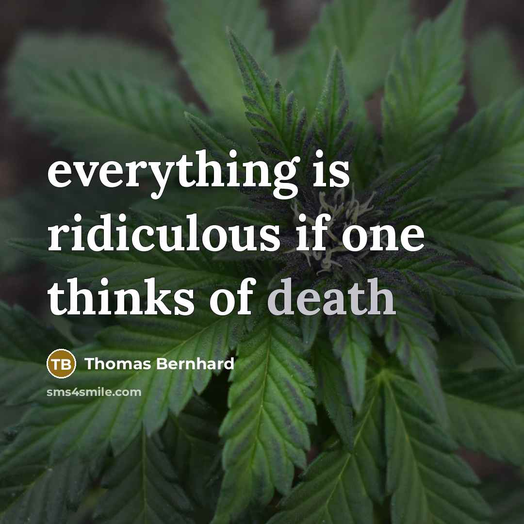 “everything is ridiculous if one thinks of death” quote by Thomas Bernhard