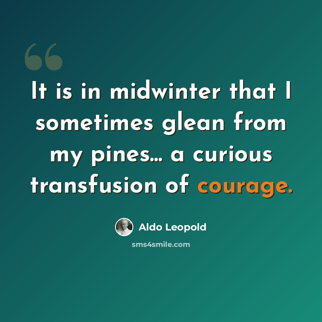“It is in midwinter that I sometimes glean from my pines... a curious transfusion of courage.” quote by Aldo Leopold