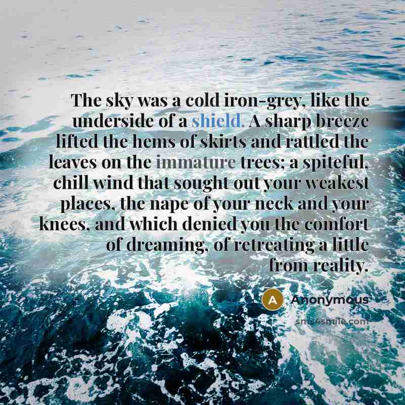 “The sky was a cold iron-grey, like the underside of a shield. A sharp breeze lifted the hems of skirts and rattled the leaves on the immature trees; a spiteful, chill wind that sought out your weakest places, the nape of your neck and your knees, and which denied you the comfort of dreaming, of…” quote by Anonymous