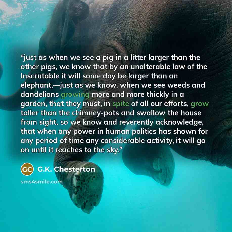 “just as when we see a pig in a litter larger than the other pigs, we know that by an unalterable law of the Inscrutable it will some day be larger than an elephant,—just as we know, when we see weeds and dandelions growing more and more thickly in a garden, that they must, in spite of all our…” quote by G.K. Chesterton