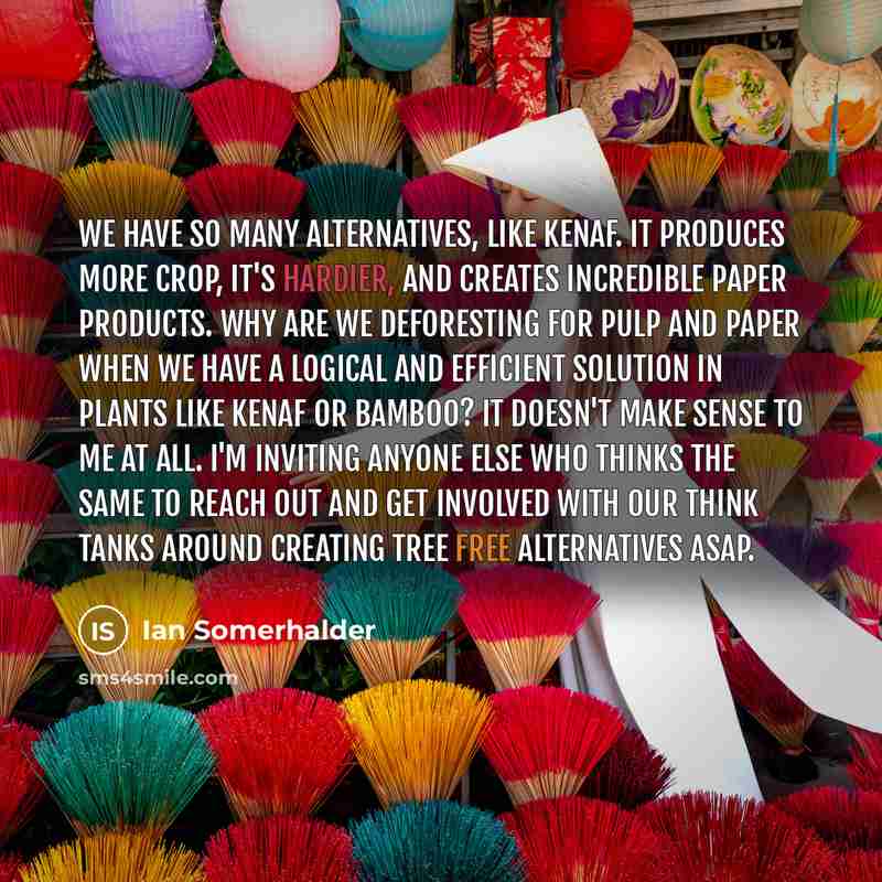 “We have so many alternatives, like kenaf. It produces more crop, it's hardier, and creates incredible paper products. Why are we deforesting for pulp and paper when we have a logical and efficient solution in plants like kenaf or bamboo? It doesn't make sense to me at all. I'm inviting anyone else…” quote by Ian Somerhalder