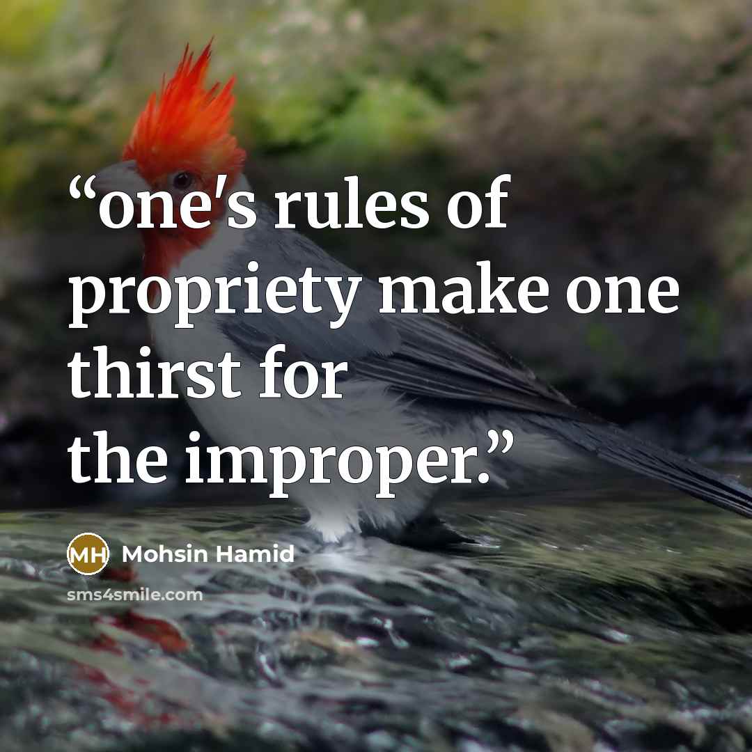“one's rules of propriety make one thirst for the improper.” quote by Mohsin Hamid