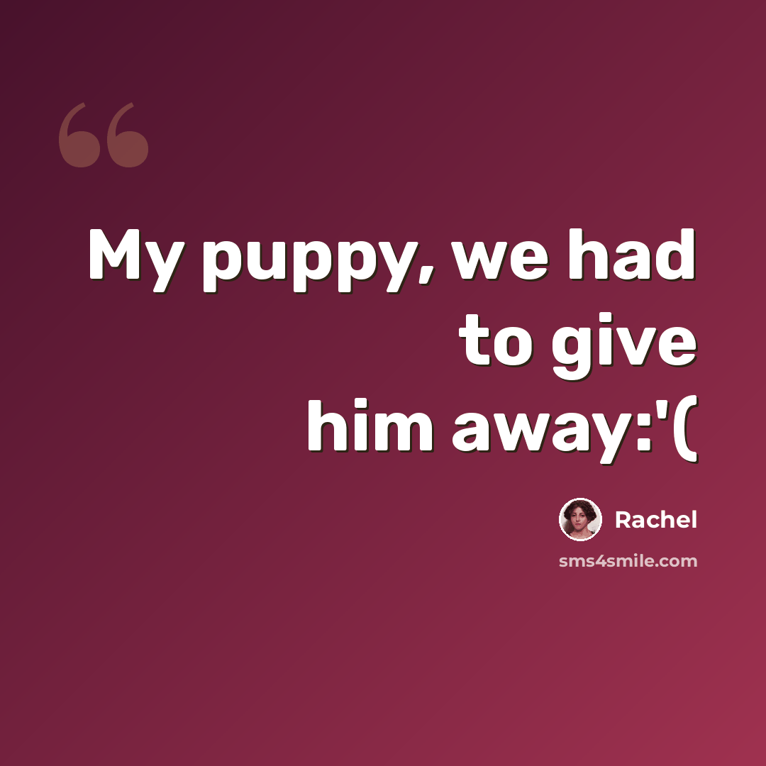 “My puppy, we had to give him away:'(” quote by Rachel