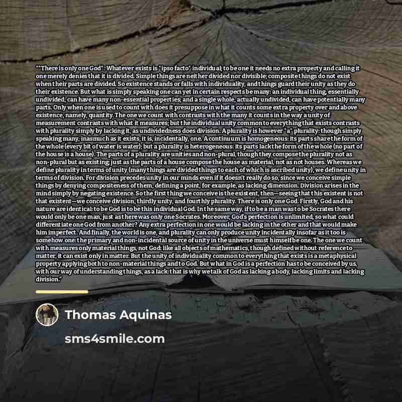 “*There is only one God*. Whatever exists is *ipso facto* individual; to be one it needs no extra property and calling it one merely denies that it is divided. Simple things are neither divided nor divisible; composite things do not exist when their parts are divided. So existence stands or falls…” quote by Thomas Aquinas