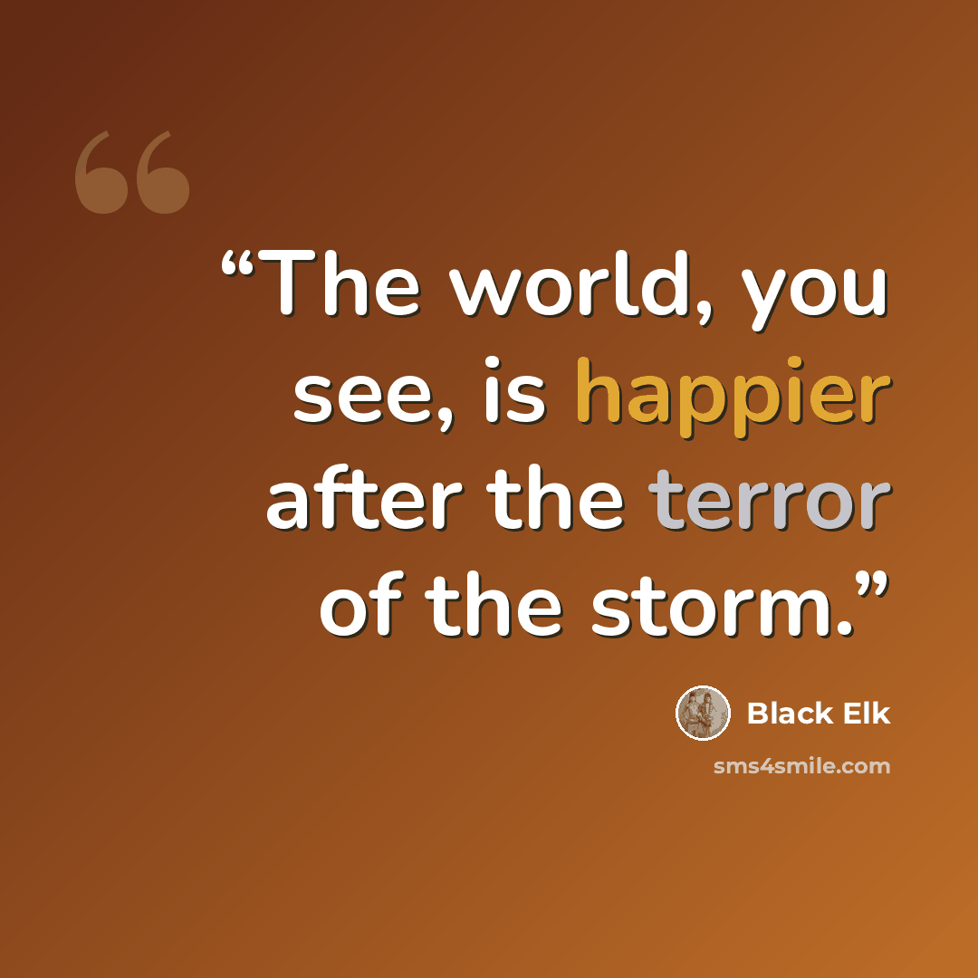 “The world, you see, is happier after the terror of the storm.” quote by Black Elk