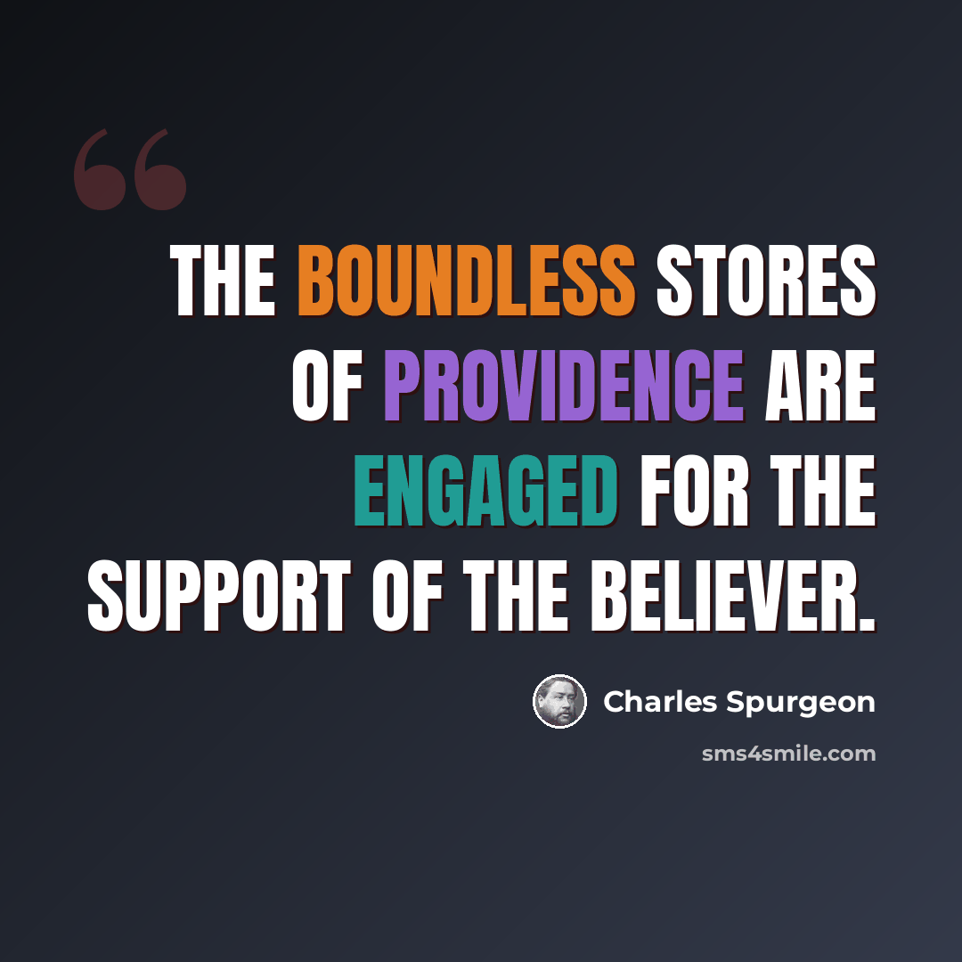 “The boundless stores of Providence are engaged for the support of the believer.” quote by Charles Spurgeon