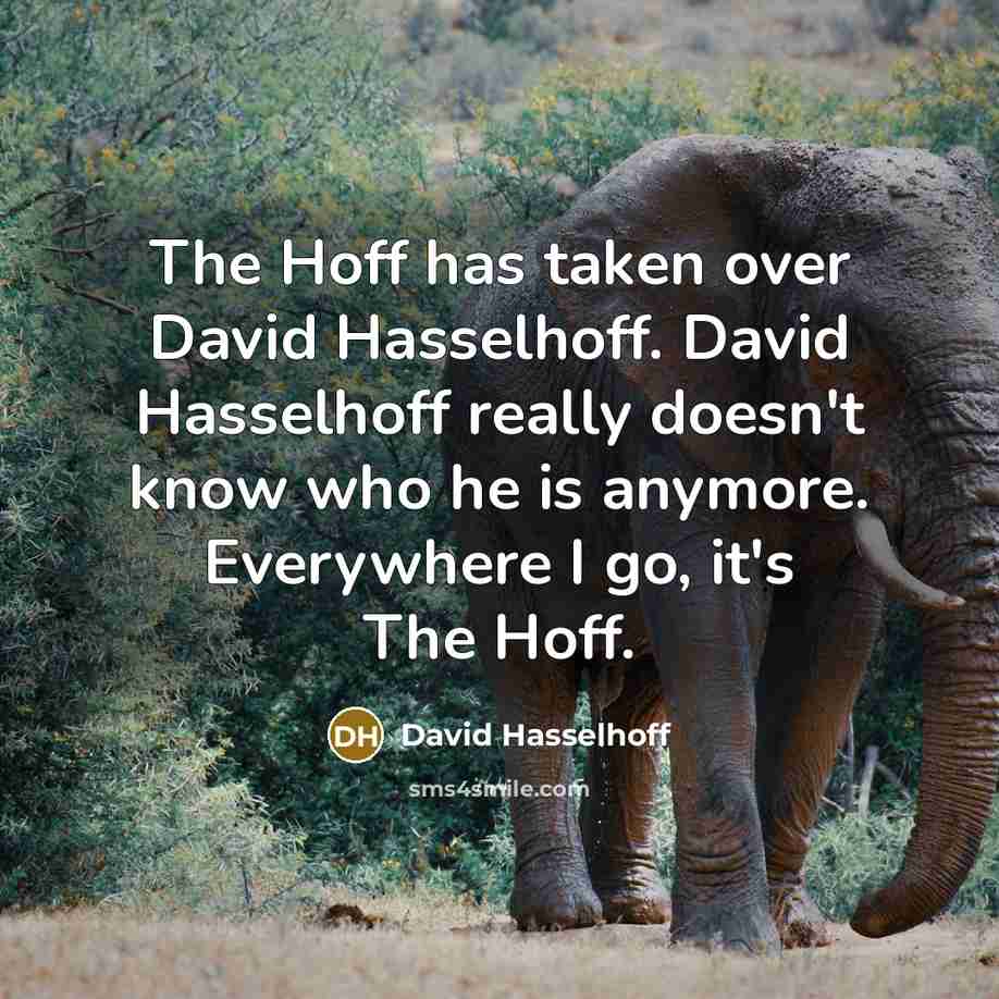 “The Hoff has taken over David Hasselhoff. David Hasselhoff really doesn't know who he is anymore. Everywhere I go, it's The Hoff.” quote by David Hasselhoff