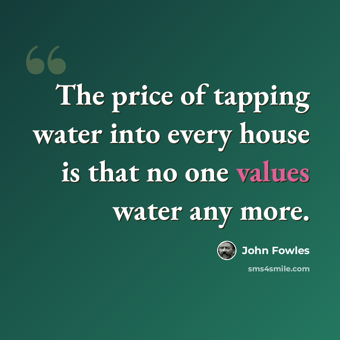 “The price of tapping water into every house is that no one values water any more.” quote by John Fowles