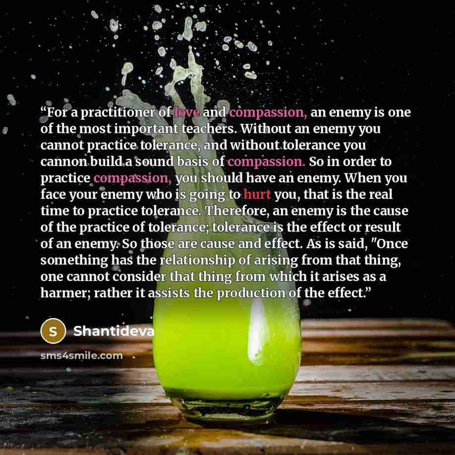 “For a practitioner of love and compassion, an enemy is one of the most important teachers. Without an enemy you cannot practice tolerance, and without tolerance you cannon build a sound basis of compassion. So in order to practice compassion, you should have an enemy. When you face your enemy who…” quote by Shantideva