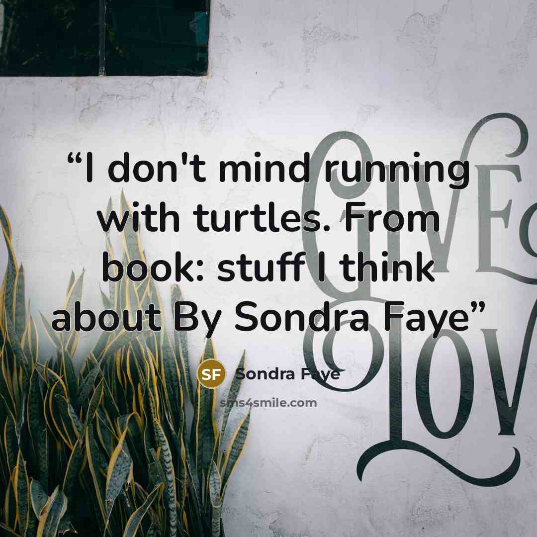 “I don't mind running with turtles. From book: stuff I think about By Sondra Faye” quote by Sondra Faye