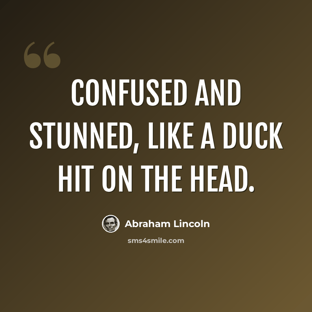 “confused and Stunned, like a duck hit on the head.” quote by Abraham Lincoln