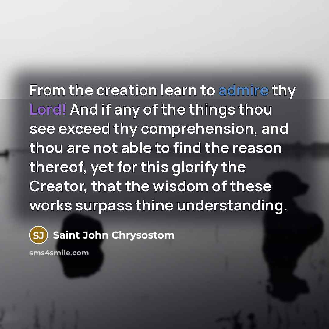 “From the creation learn to admire thy Lord! And if any of the things thou see exceed thy comprehension, and thou are not able to find the reason thereof, yet for this glorify the Creator, that the wisdom of these works surpass thine understanding.” quote by Saint John Chrysostom