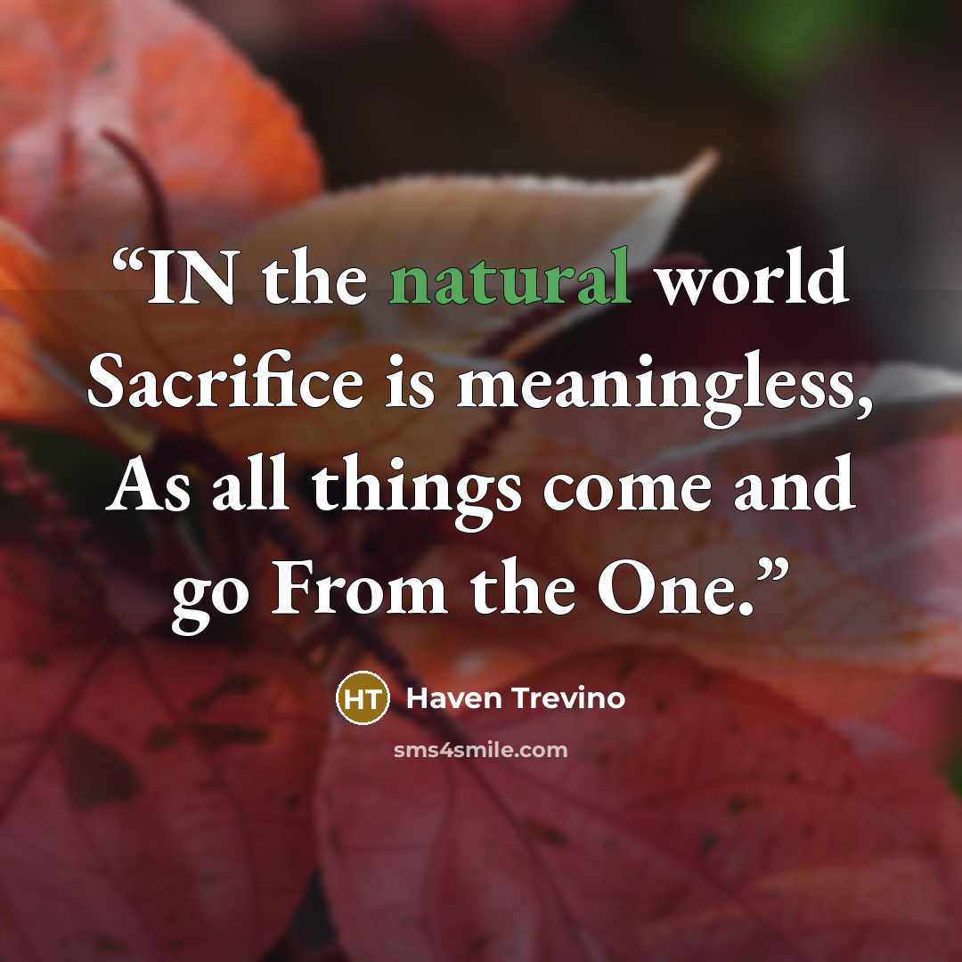 “IN the natural world Sacrifice is meaningless, As all things come and go From the One.” quote by Haven Trevino