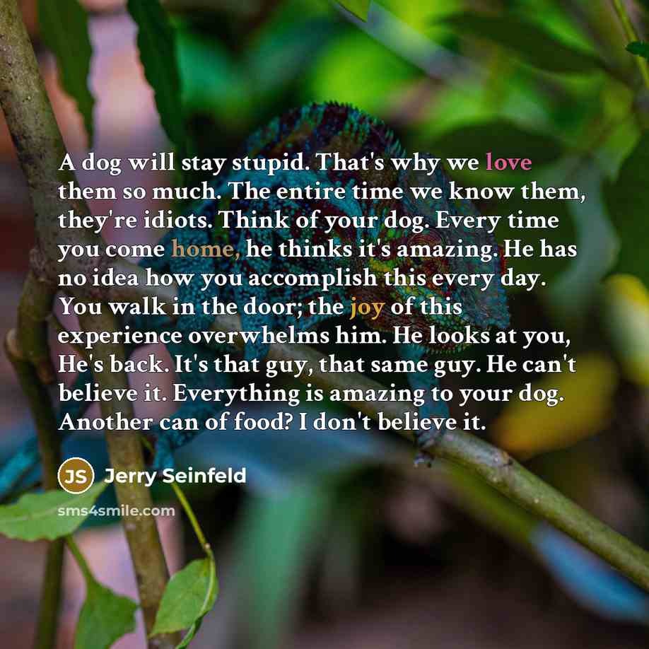 “A dog will stay stupid. That's why we love them so much. The entire time we know them, they're idiots. Think of your dog. Every time you come home, he thinks it's amazing. He has no idea how you accomplish this every day. You walk in the door; the joy of this experience overwhelms him. He looks at…” quote by Jerry Seinfeld