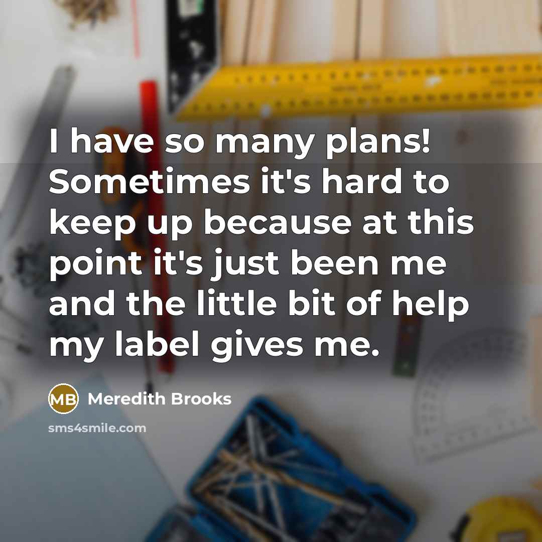 “I have so many plans! Sometimes it's hard to keep up because at this point it's just been me and the little bit of help my label gives me.” quote by Meredith Brooks