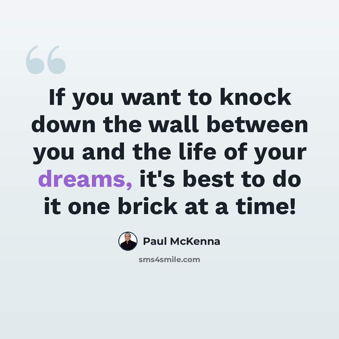 “If you want to knock down the wall between you and the life of your dreams, it's best to do it one brick at a time!” quote by Paul McKenna