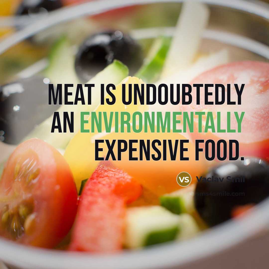 “Meat is undoubtedly an environmentally expensive food.” quote by Vaclav Smil