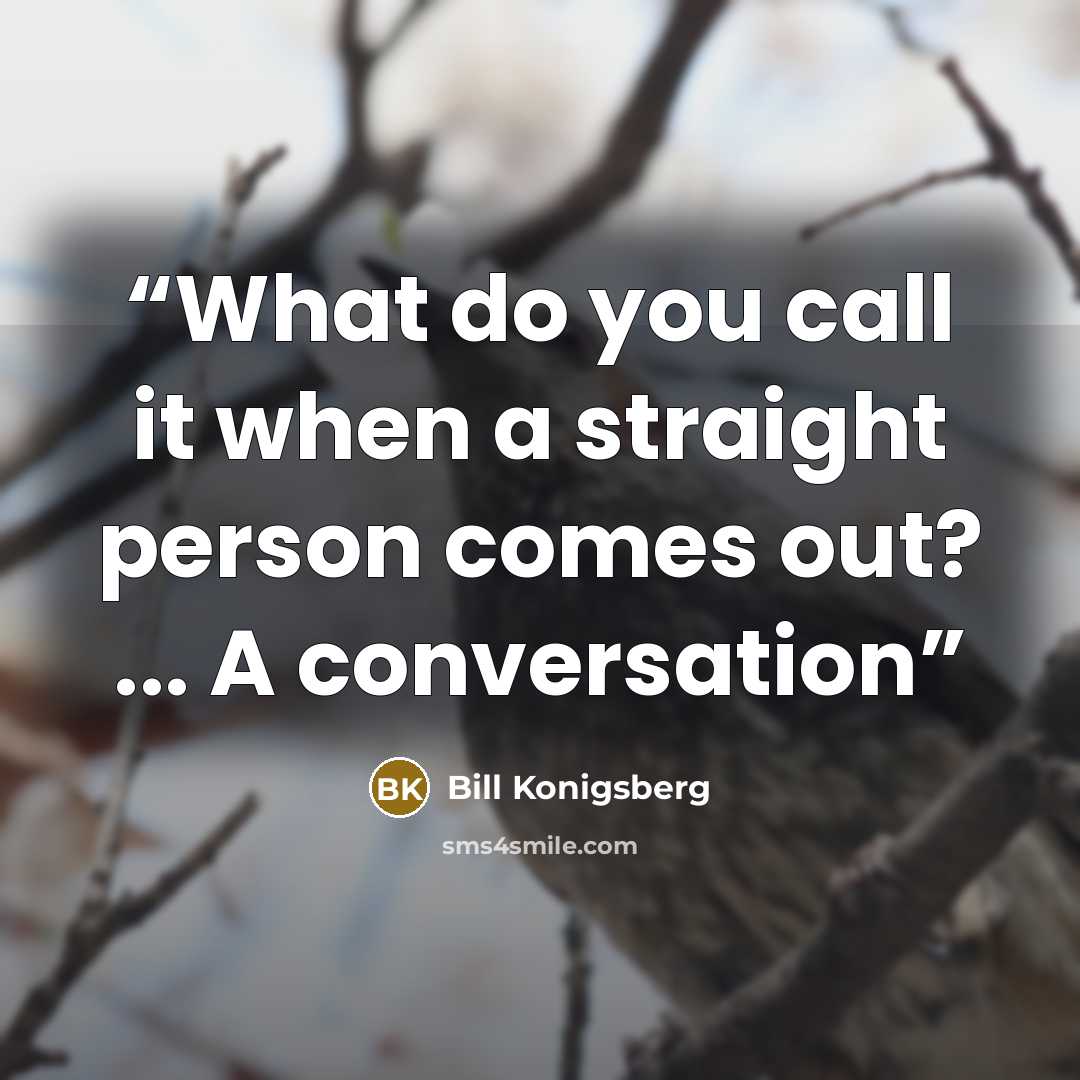 “What do you call it when a straight person comes out? ... A conversation” quote by Bill Konigsberg