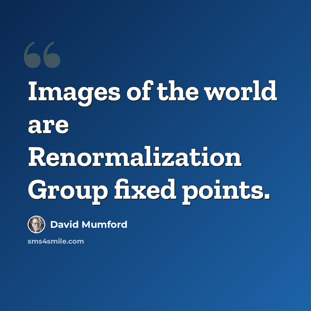 “Images of the world are Renormalization Group fixed points.” quote by David Mumford