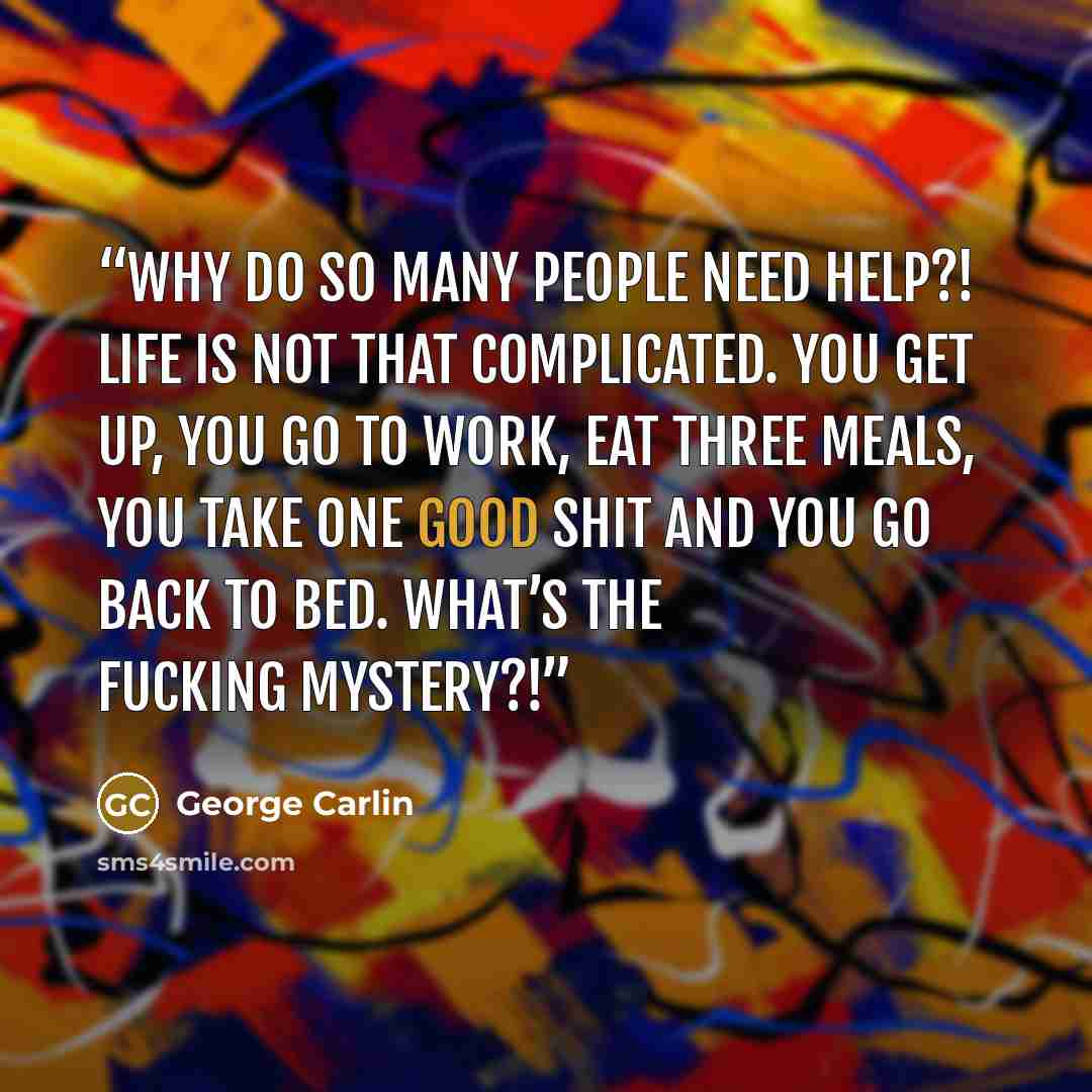 “Why do so many people need help?! Life is not that complicated. You get up, you go to work, eat three meals, you take one good shit and you go back to bed. What’s the fucking mystery?!” quote by George Carlin