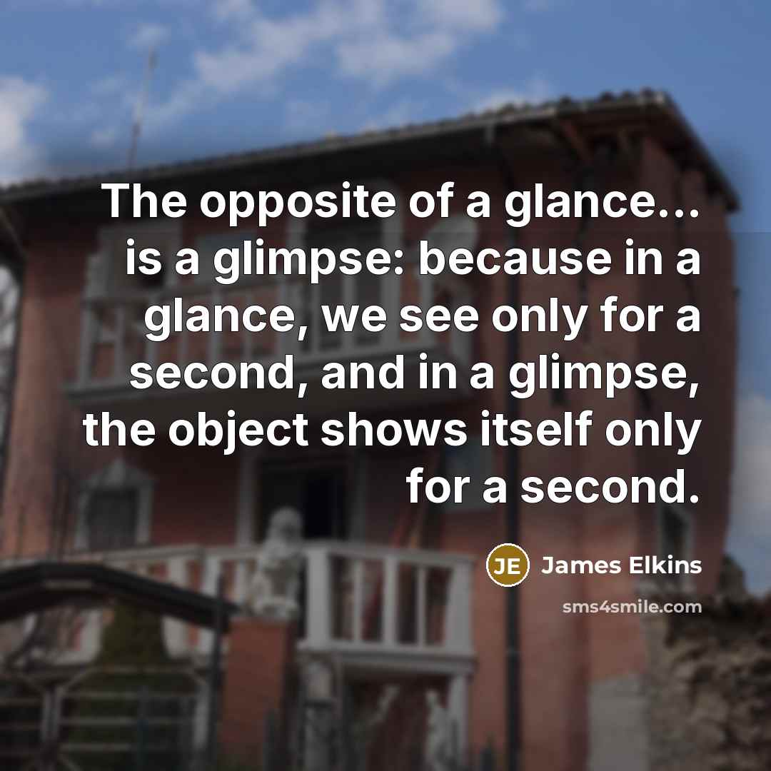 “The opposite of a glance... is a glimpse: because in a glance, we see only for a second, and in a glimpse, the object shows itself only for a second.” quote by James Elkins