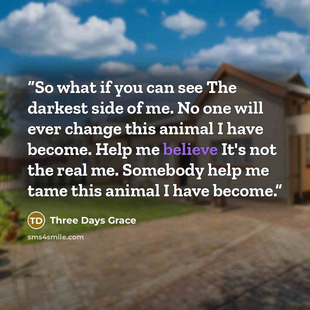“So what if you can see The darkest side of me. No one will ever change this animal I have become. Help me believe It's not the real me. Somebody help me tame this animal I have become.” quote by Three Days Grace