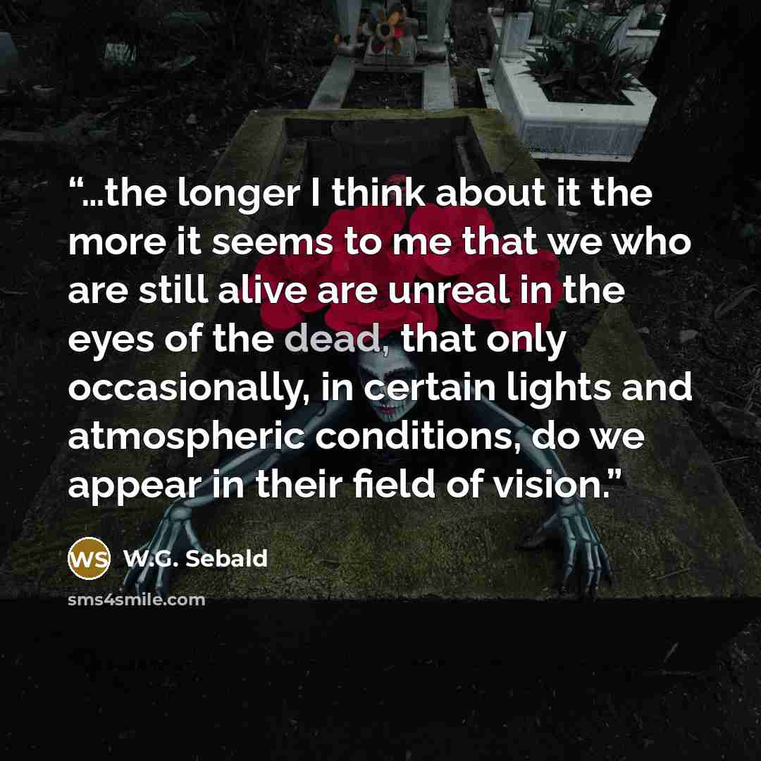 “…the longer I think about it the more it seems to me that we who are still alive are unreal in the eyes of the dead, that only occasionally, in certain lights and atmospheric conditions, do we appear in their field of vision.” quote by W.G. Sebald