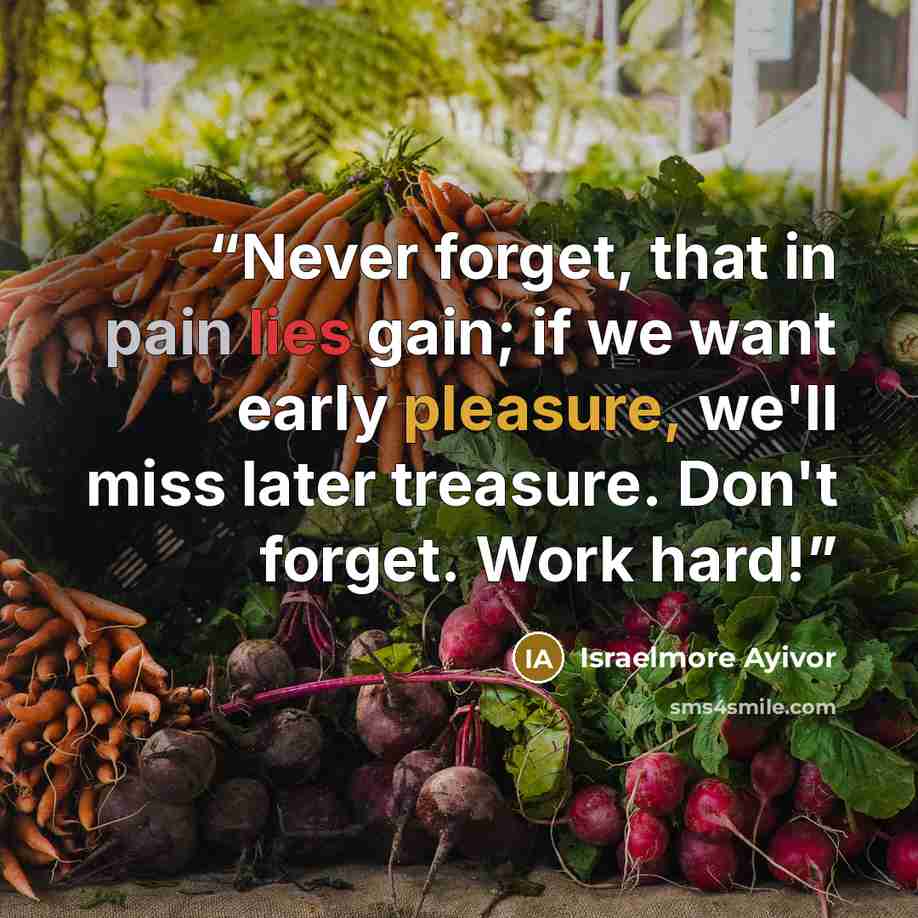 “Never forget, that in pain lies gain; if we want early pleasure, we'll miss later treasure. Don't forget. Work hard!” quote by Israelmore Ayivor