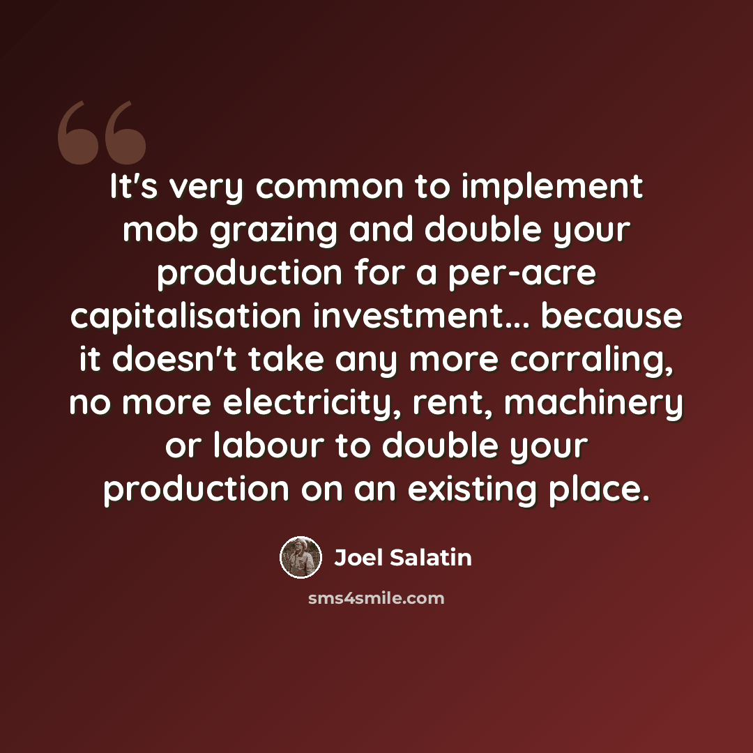 “It's very common to implement mob grazing and double your production for a per-acre capitalisation investment... because it doesn't take any more corraling, no more electricity, rent, machinery or labour to double your production on an existing place.” quote by Joel Salatin