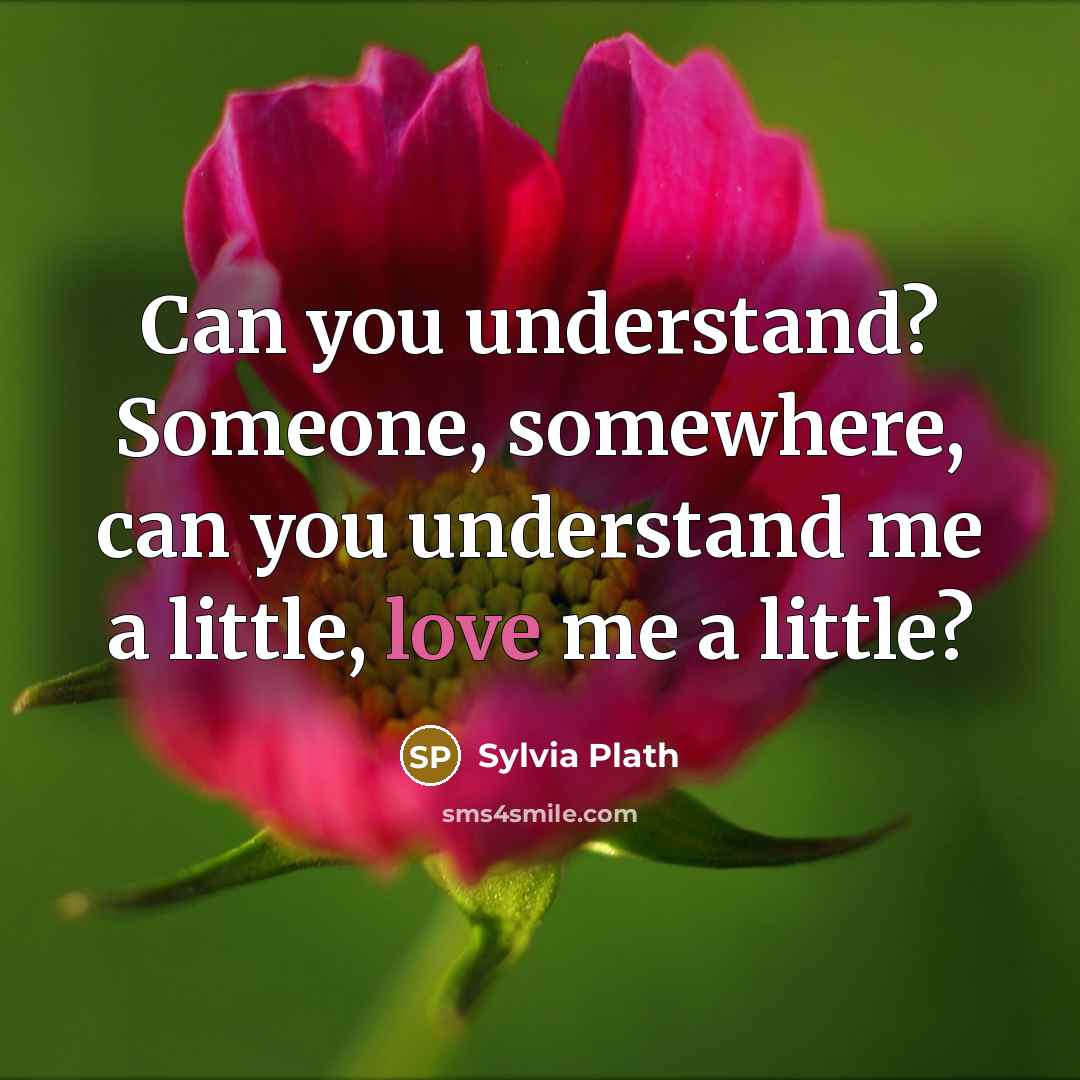 “Can you understand? Someone, somewhere, can you understand me a little, love me a little?” quote by Sylvia Plath