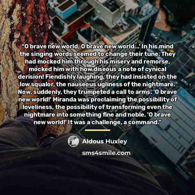“O brave new world, O brave new world...' In his mind the singing words seemed to change their tune. They had mocked him through his misery and remorse, mocked him with how diseous a note of cynical derision! Fiendishly laughing, they had insisted on the low squalor, the nauseous ugliness of the…” quote by Aldous Huxley