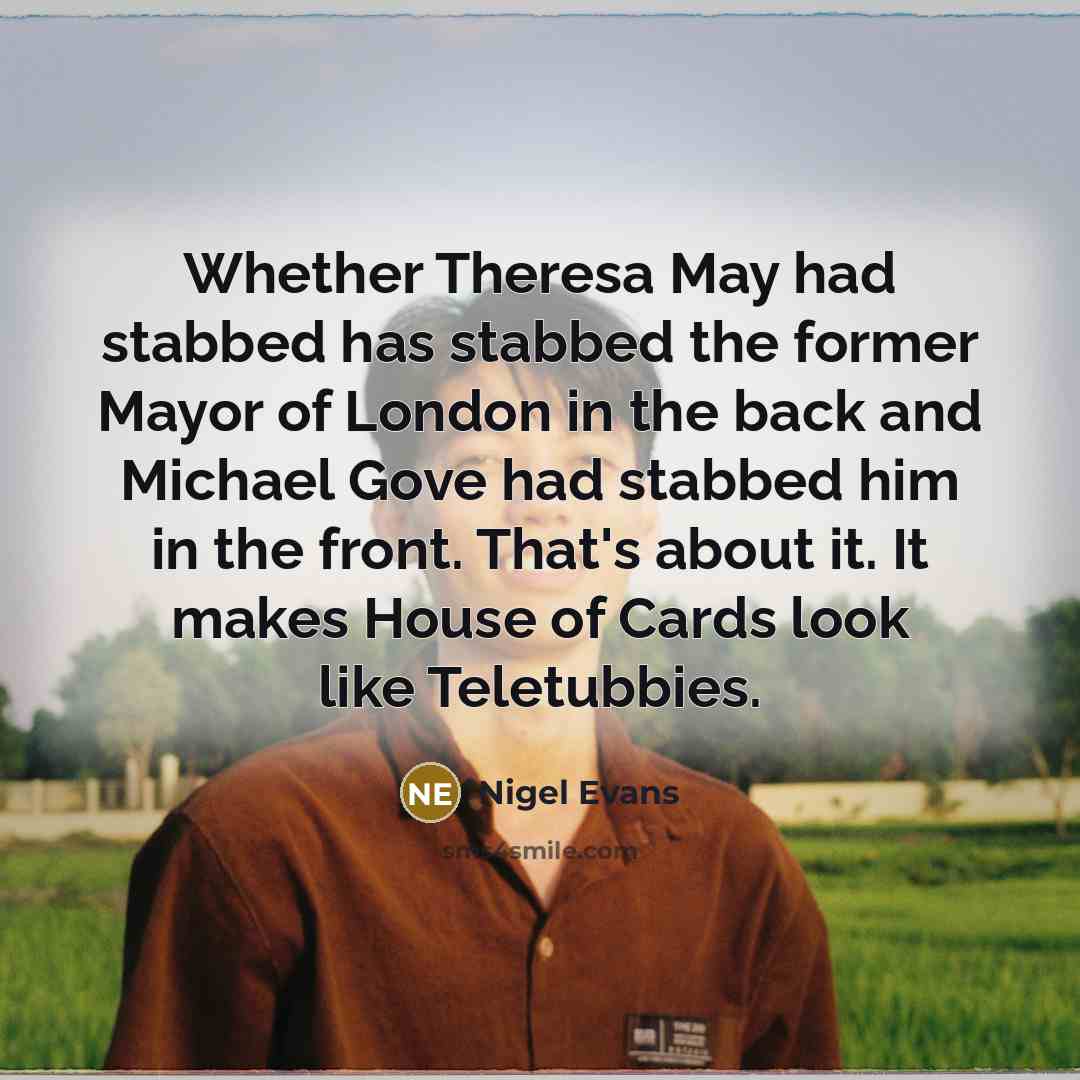 “Whether Theresa May had stabbed has stabbed the former Mayor of London in the back and Michael Gove had stabbed him in the front. That's about it. It makes House of Cards look like Teletubbies.” quote by Nigel Evans