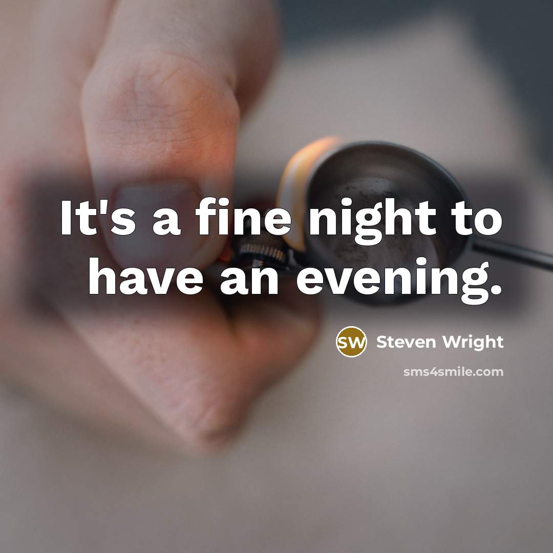 “It's a fine night to have an evening.” quote by Steven Wright