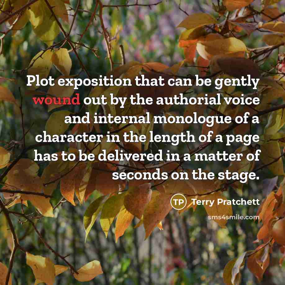 “Plot exposition that can be gently wound out by the authorial voice and internal monologue of a character in the length of a page has to be delivered in a matter of seconds on the stage.” quote by Terry Pratchett