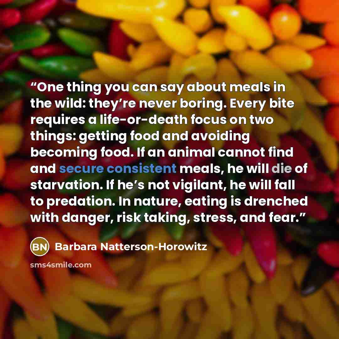 “One thing you can say about meals in the wild: they’re never boring. Every bite requires a life-or-death focus on two things: getting food and avoiding becoming food. If an animal cannot find and secure consistent meals, he will die of starvation. If he’s not vigilant, he will fall to predation…” quote by Barbara Natterson-Horowitz