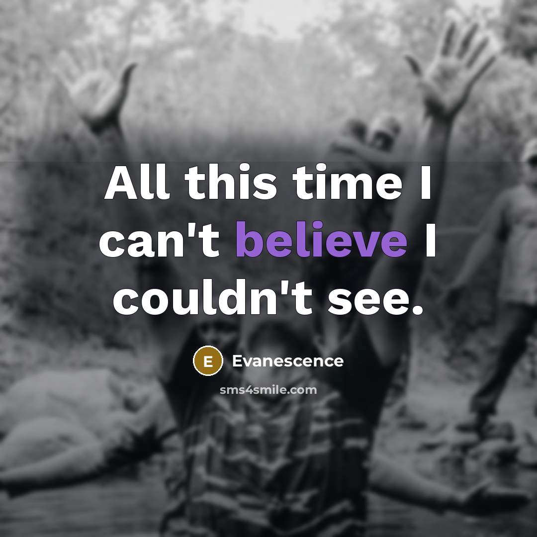 “All this time I can't believe I couldn't see.” quote by Evanescence