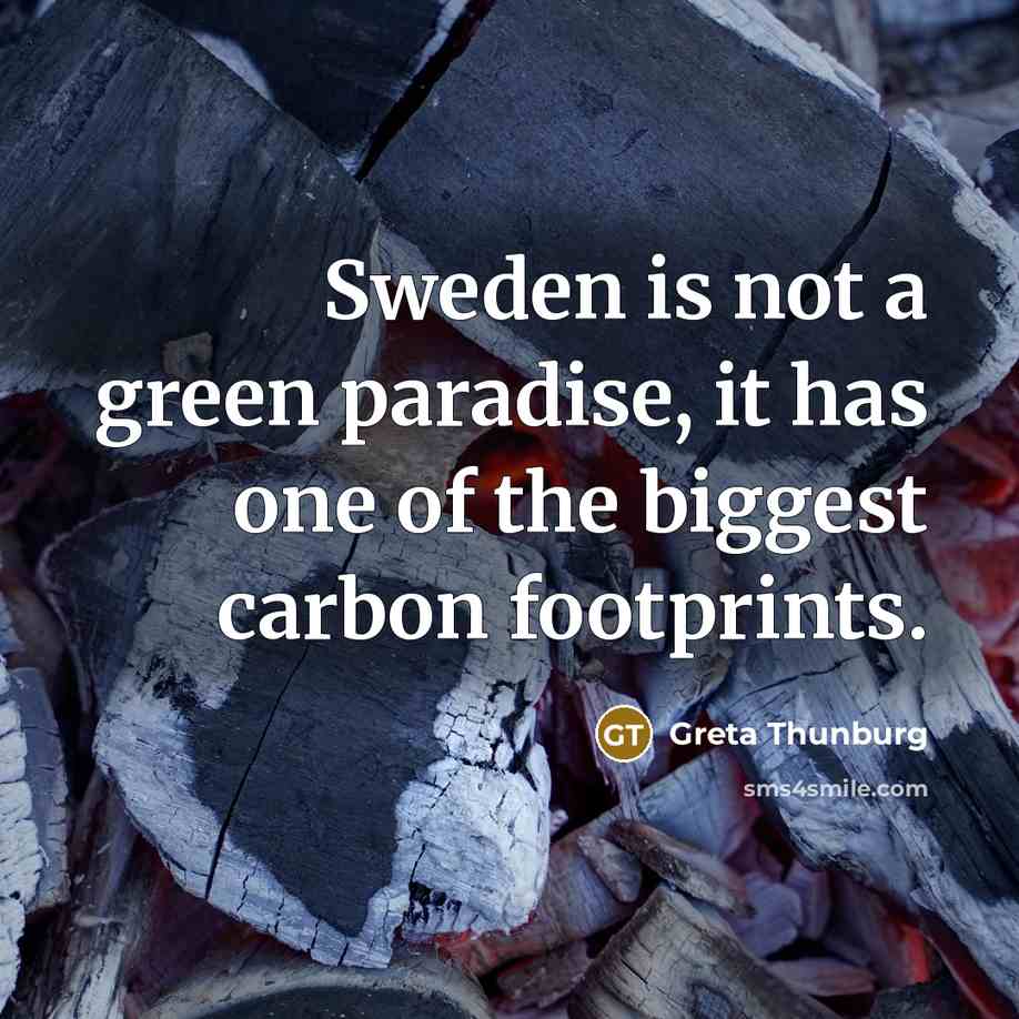 “Sweden is not a green paradise, it has one of the biggest carbon footprints.” quote by Greta Thunburg