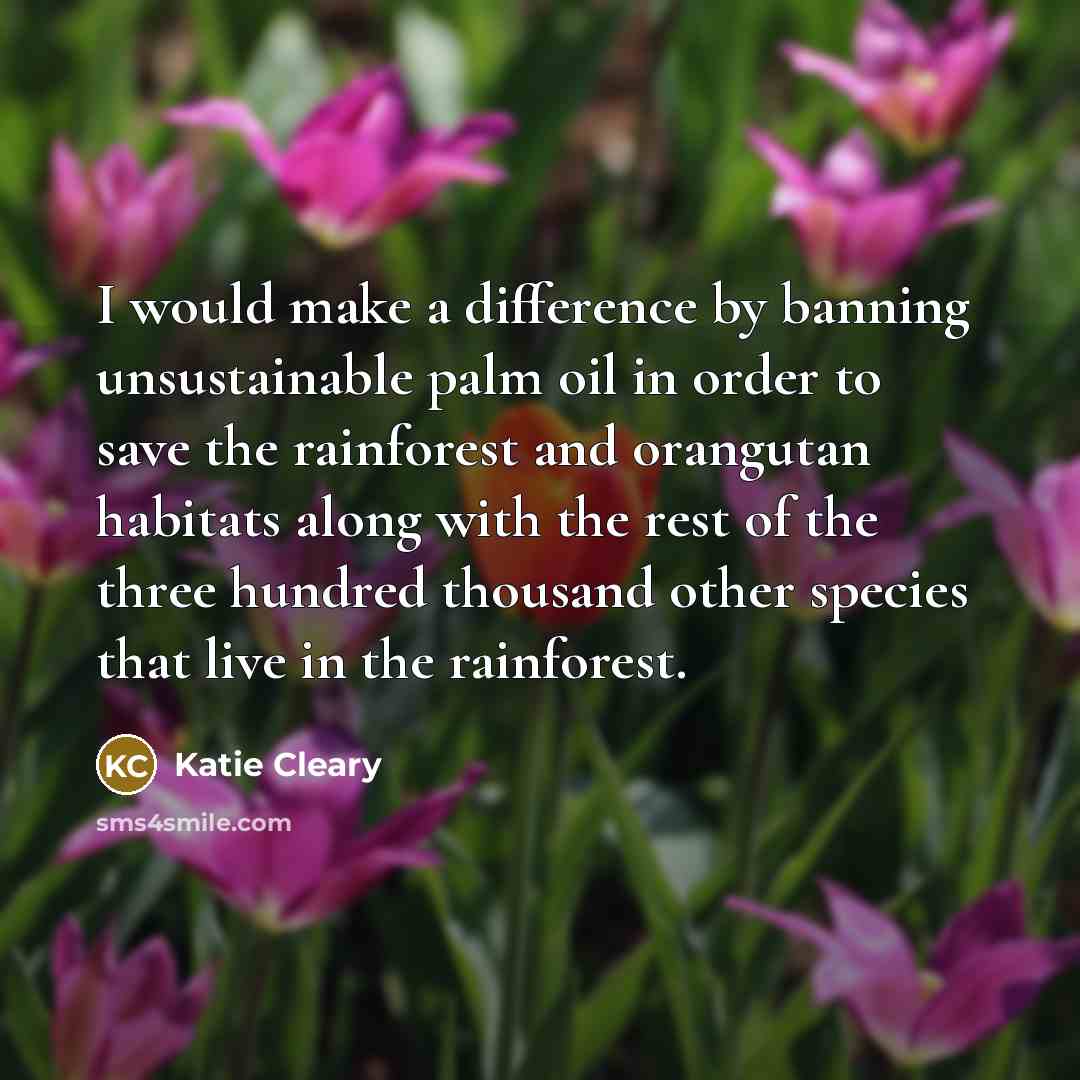 “I would make a difference by banning unsustainable palm oil in order to save the rainforest and orangutan habitats along with the rest of the three hundred thousand other species that live in the rainforest.” quote by Katie Cleary