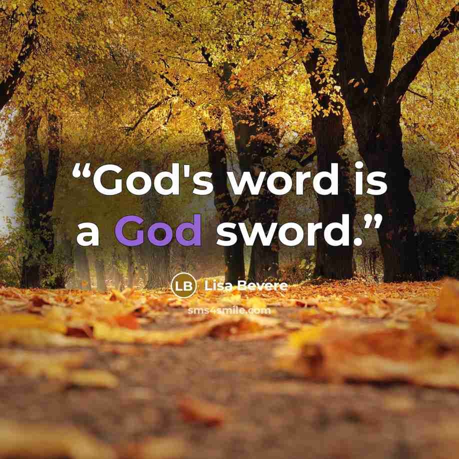 “God's word is a God sword.” quote by Lisa Bevere