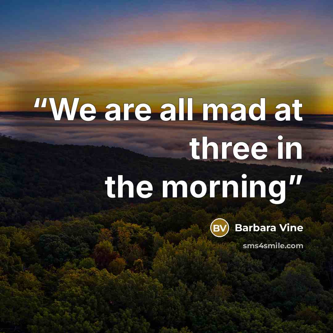 “We are all mad at three in the morning” quote by Barbara Vine