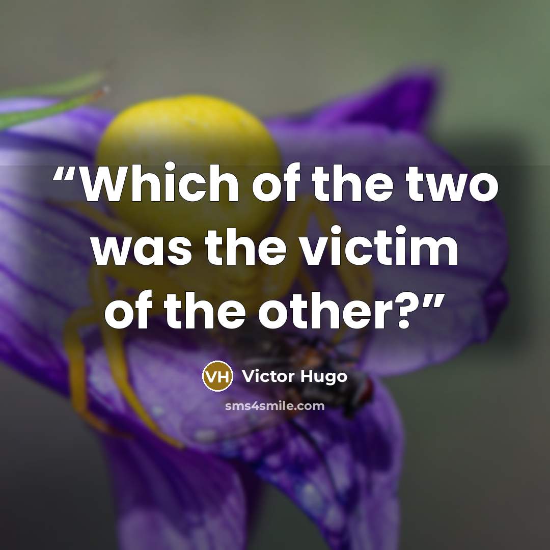 “Which of the two was the victim of the other?” quote by Victor Hugo