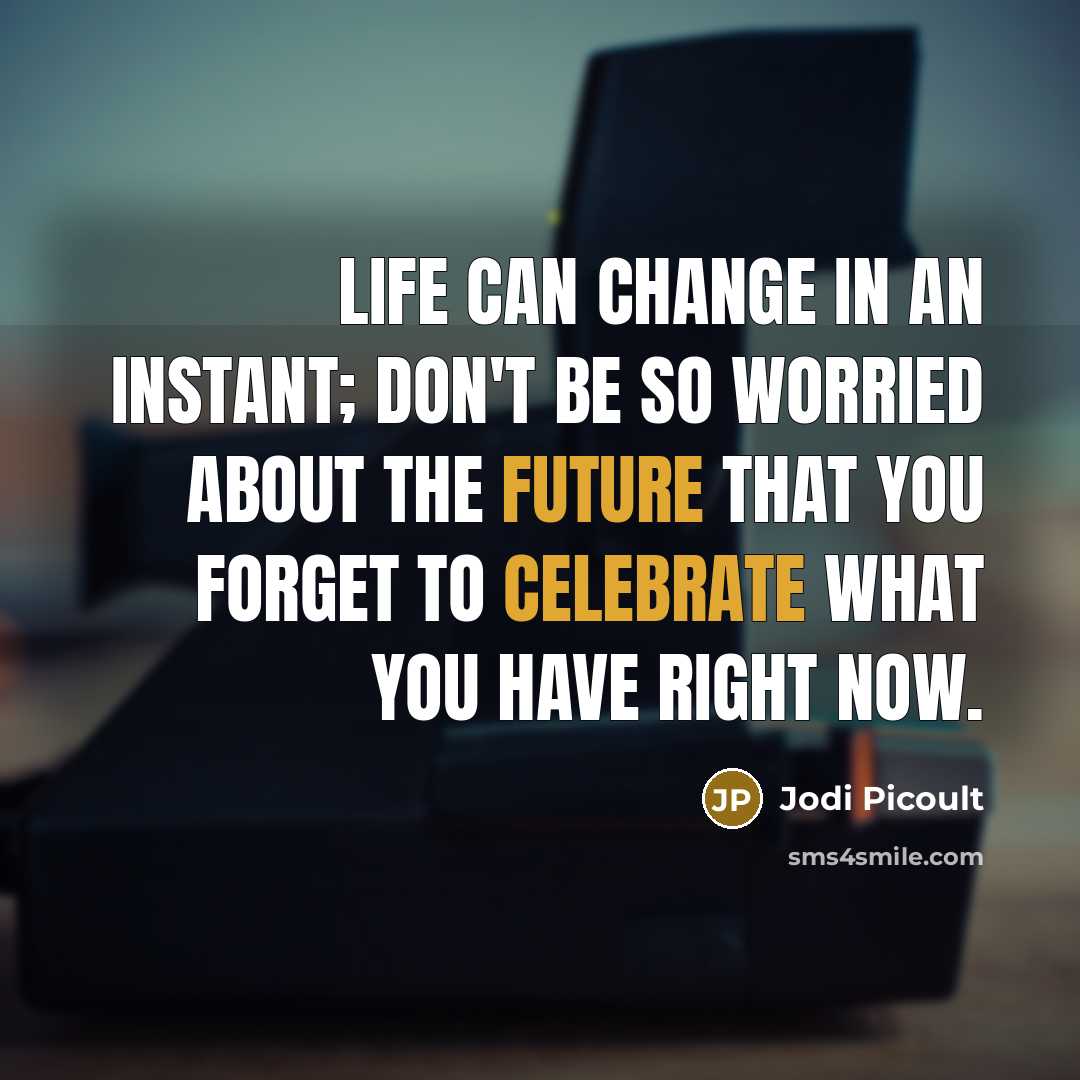 “Life can change in an instant; don't be so worried about the future that you forget to celebrate what you have right now.” quote by Jodi Picoult