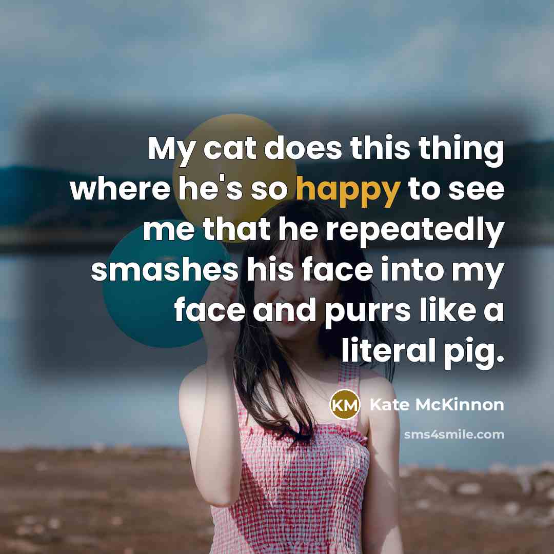 “My cat does this thing where he's so happy to see me that he repeatedly smashes his face into my face and purrs like a literal pig.” quote by Kate McKinnon